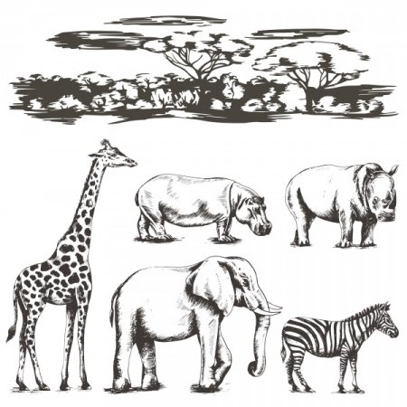 Животные Африки рисунки