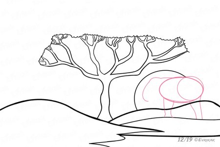 Деревья Африки раскраска