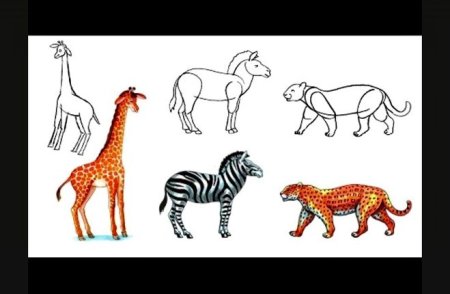 Схема рисования зебры для дошкольников