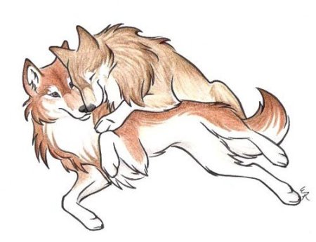 Совята милые для срисовки