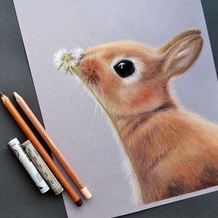 Животные сухой пастелью