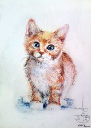 Кот масляной пастелью
