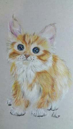 Котенок цветными карандашами