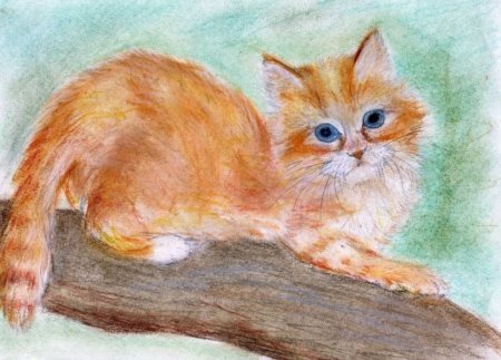 Коты пастелью