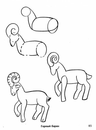 Последовательное рисование животных