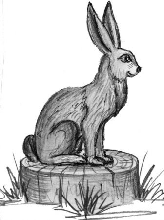 Заяц на пеньке рисунок