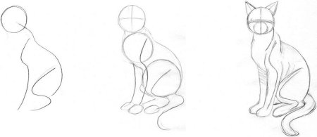 Кот сидит рисунок