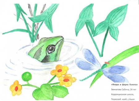 Флора фауна рисование
