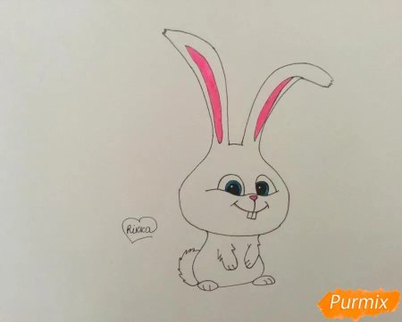 Дельфин рисунок карандашом для срисовки