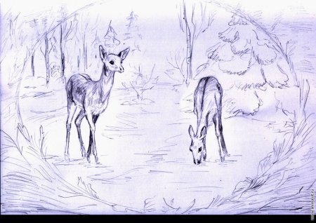 Рисунки для срисовки природа и животные