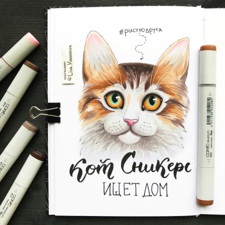 Кот маркерами для скетчинга