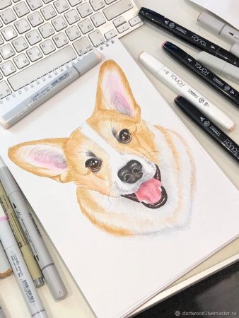 Скетчинг корги