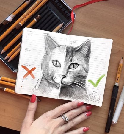 Рисунки для скетчбука коты