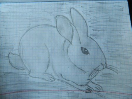 Рисунок на свободну. Тему