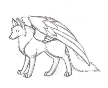 Волк для срисовки