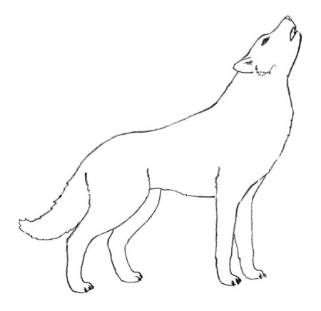 Волк для срисовки