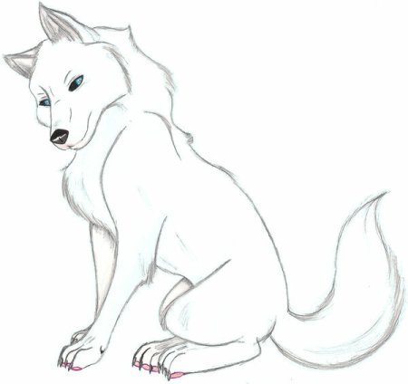 Рисунок волка для срисовки