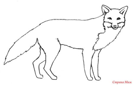 Трафарет лисы для рисования для детей