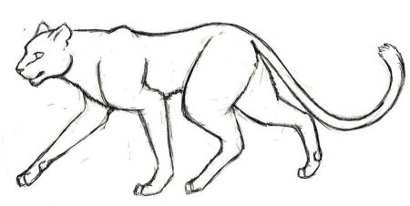 Животное в движении карандашом