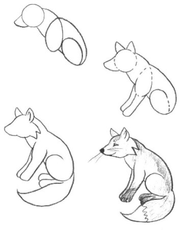 Медведь рисунок карандашом