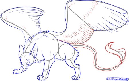 Грифон поэтапно