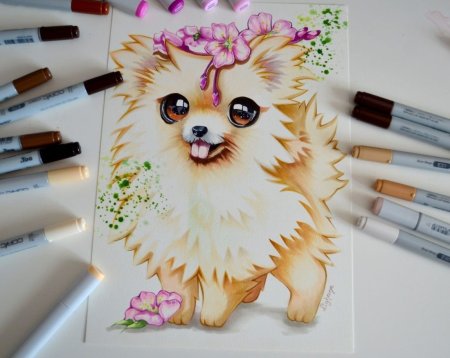 Рисунки фломастерами