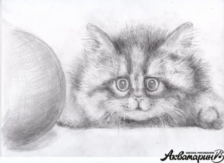 Рисование животных карандашом