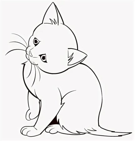 Котёнок рисунок карандашом