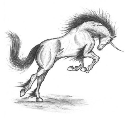 Волки с крыльями для срисовки