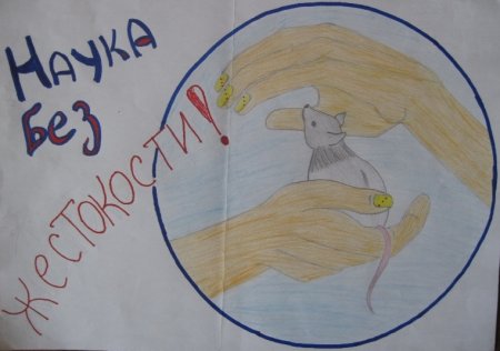 Защита животных рисунок