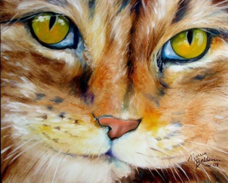 Акриловые краски для рисования