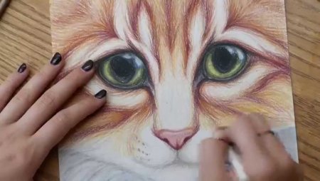 Рисунки цветными карандашами легкие