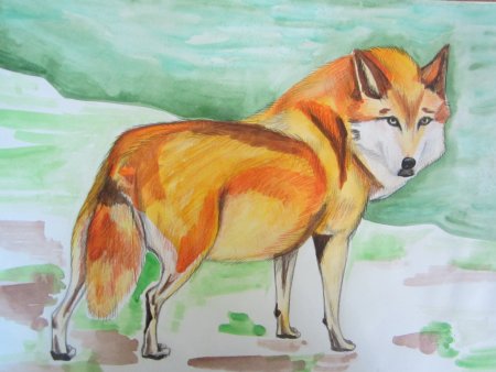 Конкурс рисунков животные красной