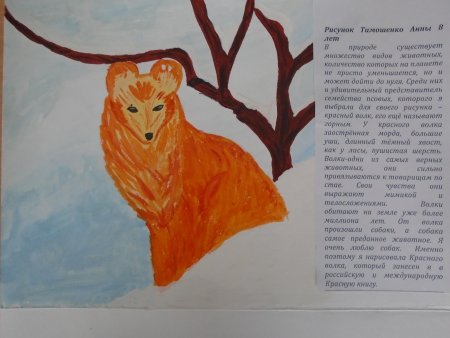 Животные из красной книги