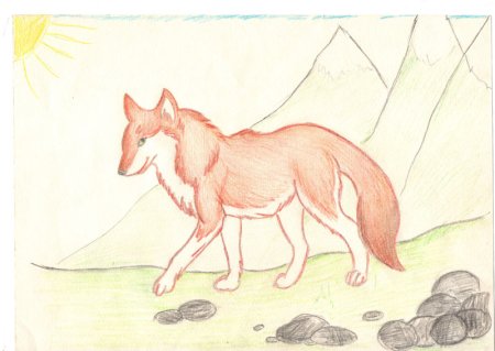 Птицы из красной книги России рисунки