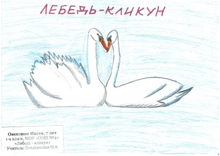 Рисунок на тему животный мир