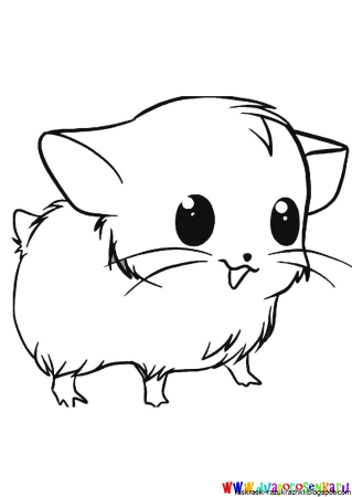 Раскраска хомяк