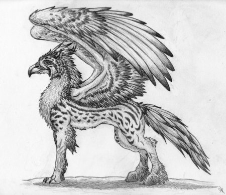 Alvia Alcedo лошади