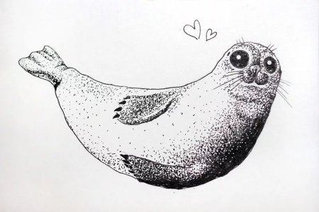 Тюлень Графика