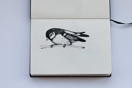 Птицы в скетчбуке