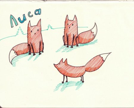 Рисунки для срисовки фломастерами легкие милые