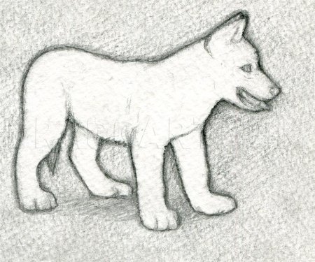 Рисунки карандашом животные