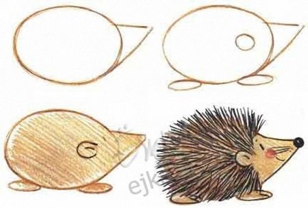 Поэтапное рисование ежа