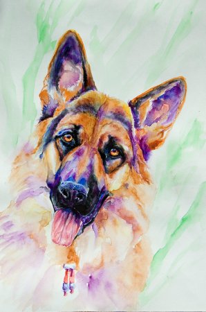 Собака акварелью