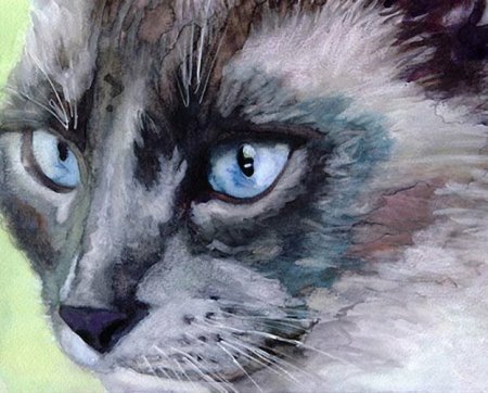 Художник Alex Carter