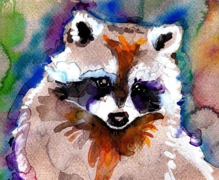 Акварельными красками енот