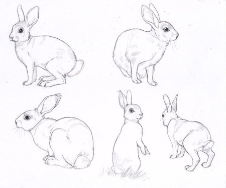 Простые рисунки для срисовки