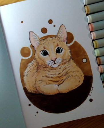 Рисунки для срисовки