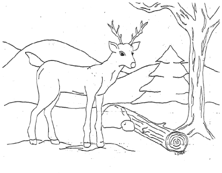 Зима рисунок