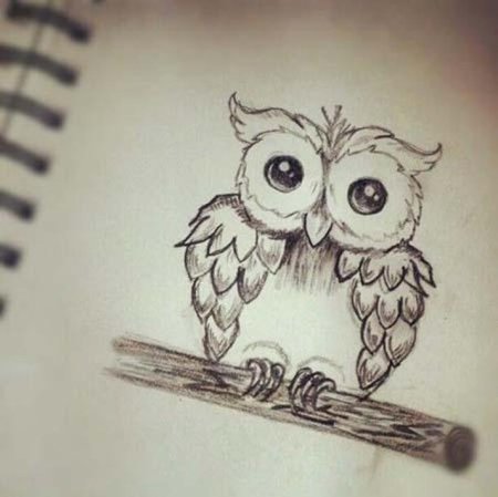 Рисунки для срисовки Сова легко